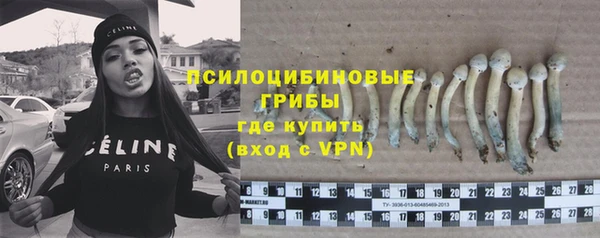 гашик Белокуриха