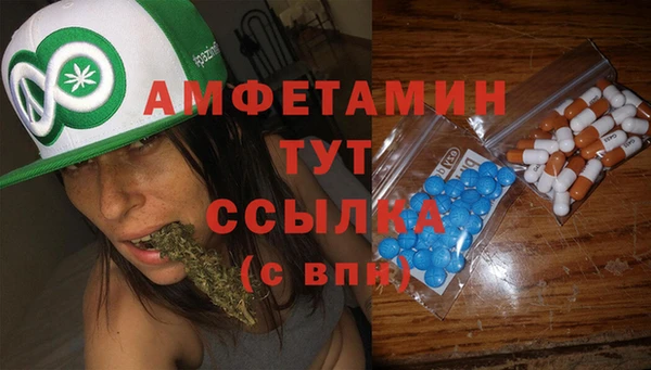 гашик Белокуриха