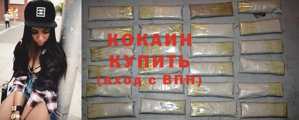 гашик Белокуриха