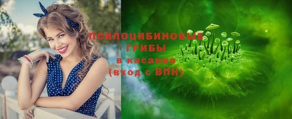 гашик Белокуриха