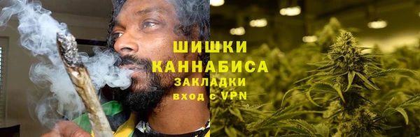 гашик Белокуриха