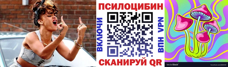 Псилоцибиновые грибы мухоморы  МЕГА зеркало  Бикин  купить  цена 